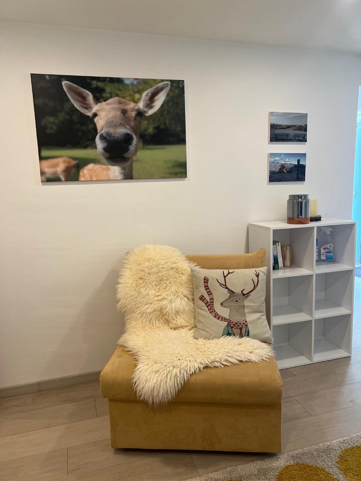 Schwarzwald Boutique-Apartment Haus Rehgarten Gaggenau Zewnętrze zdjęcie